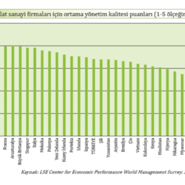 Yonetim-Kalitesi-ve-Kurumsallasma